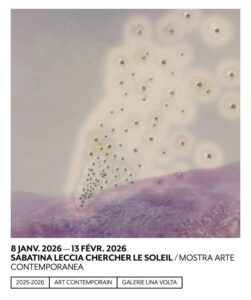 Chercher le soleil