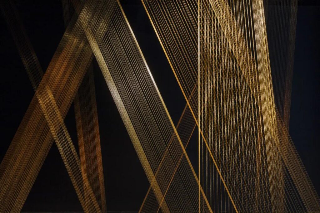 Lygia Pape - Tisser l’espace