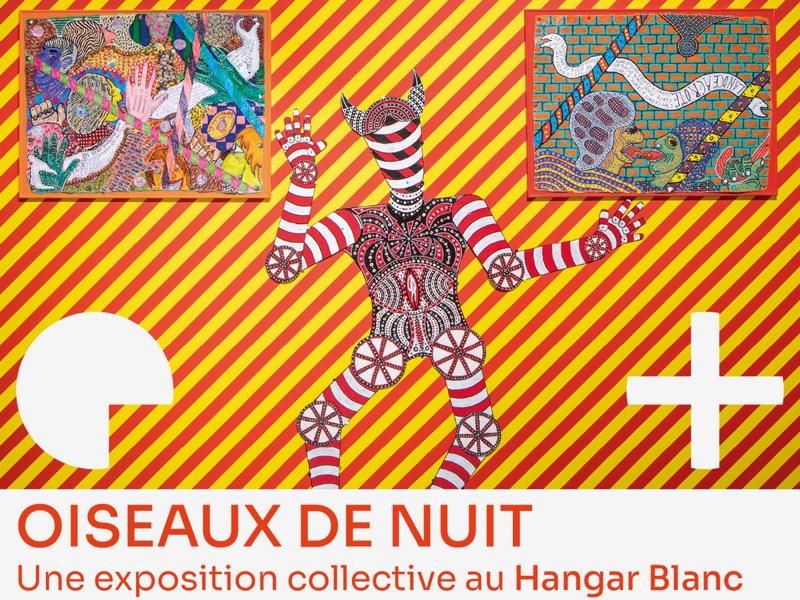 Oiseaux de nuit