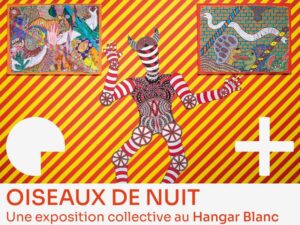 Oiseaux de nuit