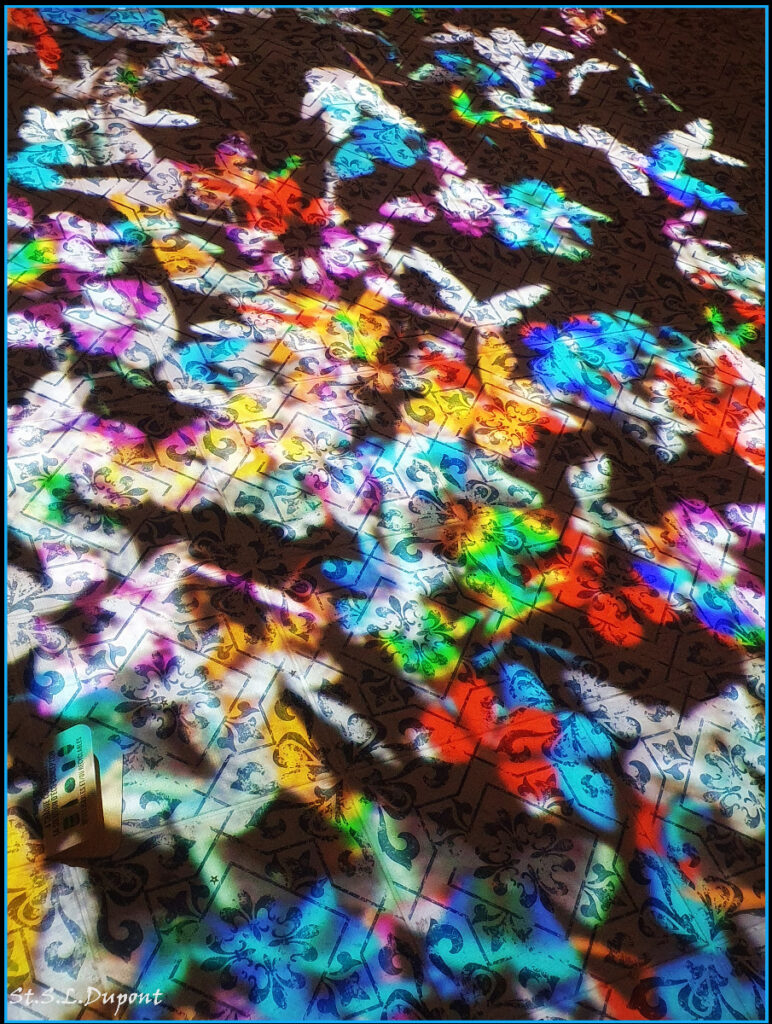 PALI ART GALERIE