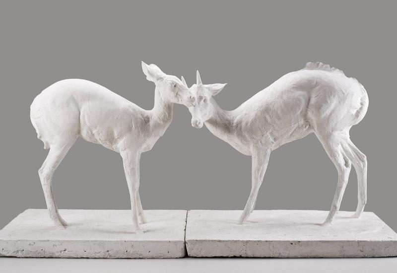 L’état sauvage : L’animal dans les collections du MAMCS et du Musée Zoologique