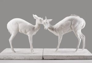L’état sauvage : L’animal dans les collections du MAMCS et du Musée Zoologique