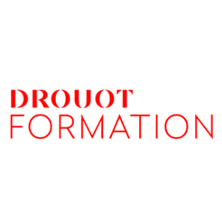 Drouot Formation
