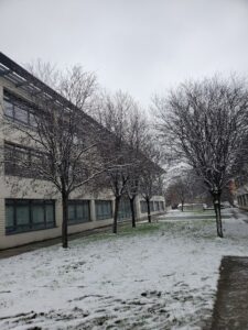ESDAC Lyon