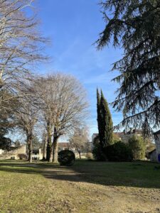 Ecole Emile Cohl Angoulème