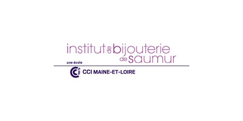 IBS - Logo