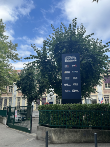 Maestris BTS Grenoble