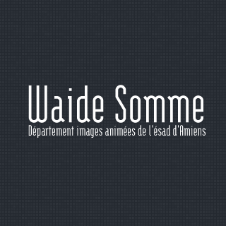 Waide Somme - Logo