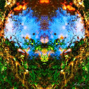 Création unique qui peut être interprétée par de multiples visions, autant qu’il y a d’humains ! Son aspect rond, lumineux et bleuté lui confère une atmostphère calme, universelle et magique. L'eau est présente, comme une mère, elle nourrit, protège ; elle est amour infini et relie tous les êtres vivants entre eux. Le symbole de purification est d’autant plus fort que cette photo a été prise sur une ancienne carrière d’ardoise, où la terre a été meutrie durant les années d’extraction. C’est l’absence d’existence propre ; c’est l’interdépendance des choses, rien n’existe de manière autonome, tout est lié et connecté. Cette oeuvre surnaturaliste est abstraite pour certains et figurative pour d’autres.