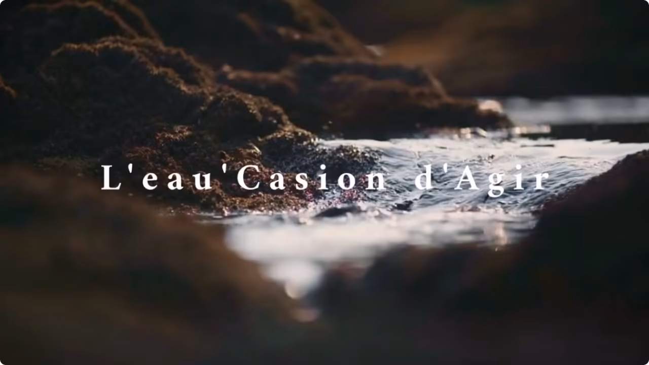Focus : L’eau’casion d’agir – Quand l’art, le lien social et l’écologie se rencontrent